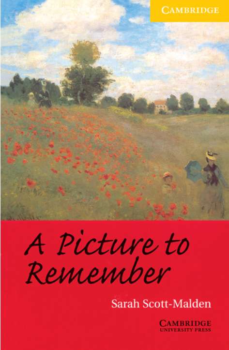 A Picture to Remember