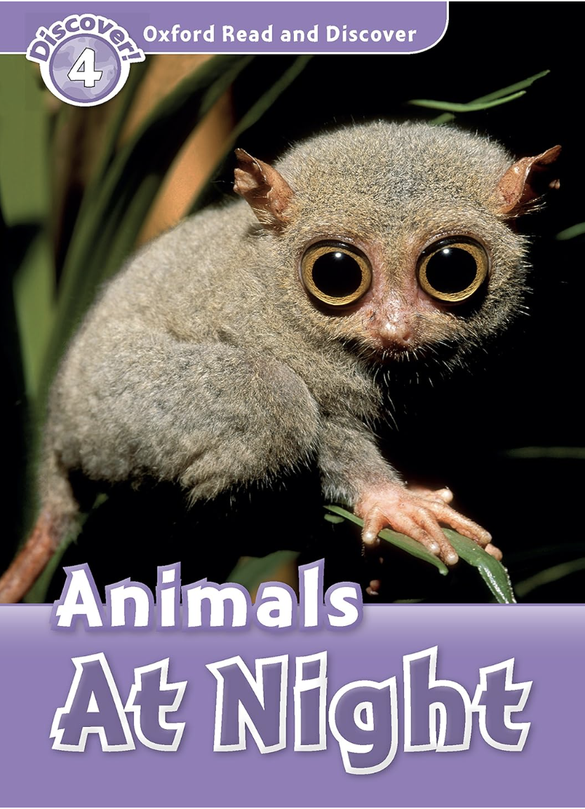 Animals At Night